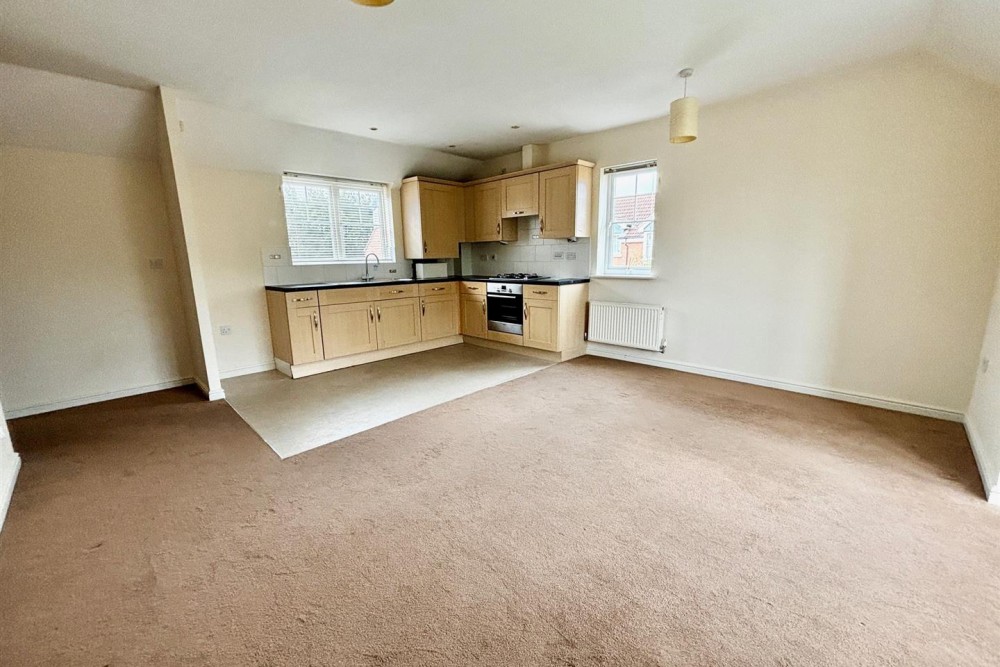 Kitchen/Lounge/Dining area