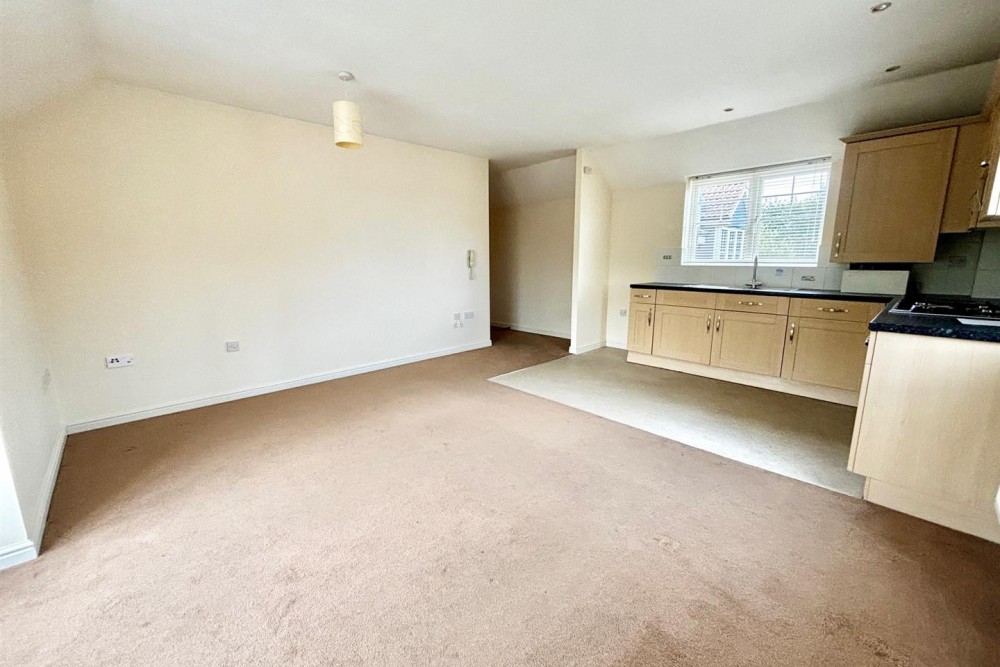 Kitchen/Lounge/Dining area